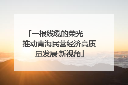 一根线缆的荣光——推动青海民营经济高质量发展·新视角
