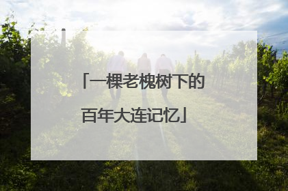 一棵老槐树下的百年大连记忆