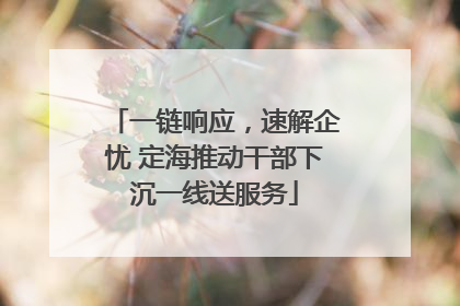 一链响应，速解企忧 定海推动干部下沉一线送服务