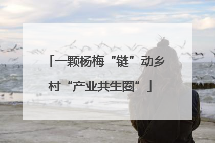 一颗杨梅“链”动乡村“产业共生圈”