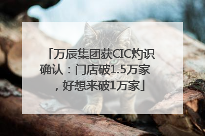 万辰集团获CIC灼识确认：门店破1.5万家，好想来破1万家