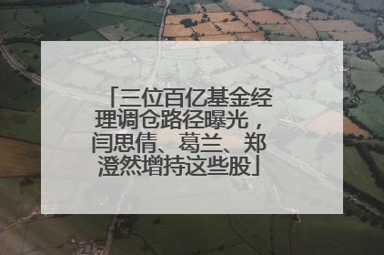 三位百亿基金经理调仓路径曝光，闫思倩、葛兰、郑澄然增持这些股