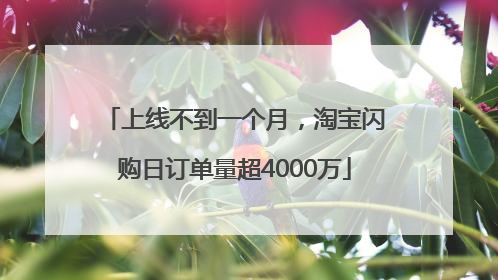 上线不到一个月，淘宝闪购日订单量超4000万