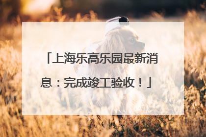 上海乐高乐园最新消息：完成竣工验收！