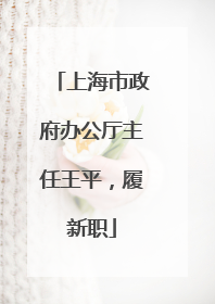 上海市政府办公厅主任王平，履新职