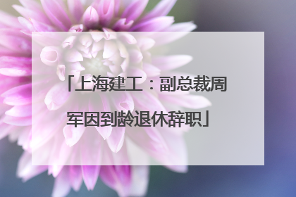 上海建工：副总裁周军因到龄退休辞职
