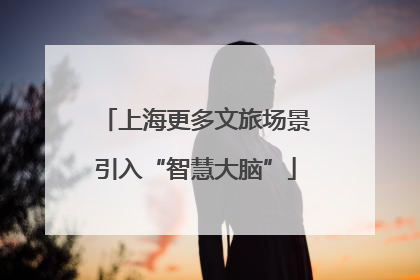 上海更多文旅场景引入“智慧大脑”