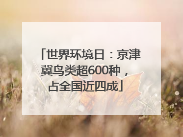 世界环境日：京津冀鸟类超600种，占全国近四成