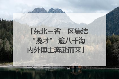 东北三省一区集结“揽才” 逾八千海内外博士奔赴而来