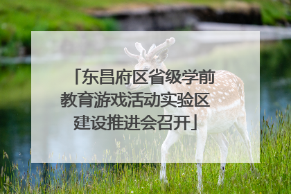 东昌府区省级学前教育游戏活动实验区建设推进会召开