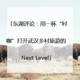 东湖评论：用一杯“村咖”打开武汉乡村旅游的Next Level