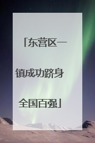 东营区一镇成功跻身全国百强