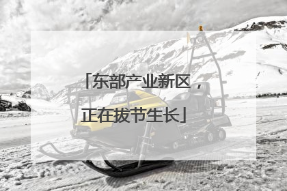 东部产业新区，正在拔节生长