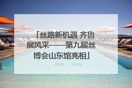 丝路新机遇 齐鲁展风采——第九届丝博会山东馆亮相