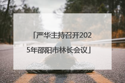 严华主持召开2025年邵阳市林长会议