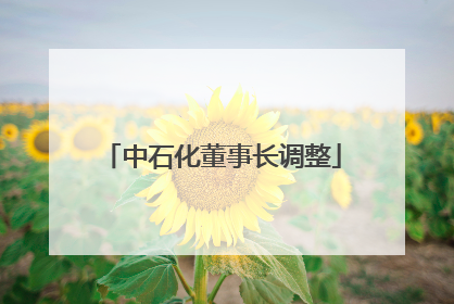 中石化董事长调整