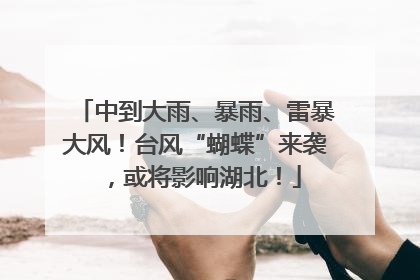 中到大雨、暴雨、雷暴大风！台风“蝴蝶”来袭，或将影响湖北！