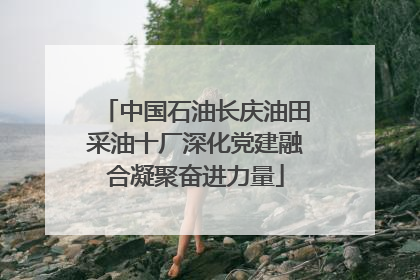 中国石油长庆油田采油十厂深化党建融合凝聚奋进力量