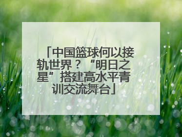 中国篮球何以接轨世界？“明日之星”搭建高水平青训交流舞台