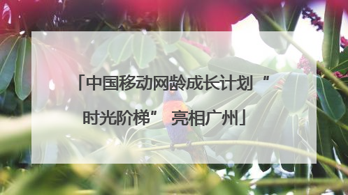 中国移动网龄成长计划“时光阶梯” 亮相广州