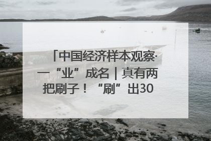 中国经济样本观察·一“业”成名｜真有两把刷子！“刷”出30亿级“颜值经济”