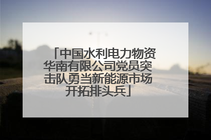 中国水利电力物资华南有限公司党员突击队勇当新能源市场开拓排头兵