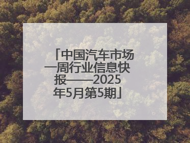中国汽车市场一周行业信息快报——2025年5月第5期