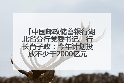 中国邮政储蓄银行湖北省分行党委书记、行长肖子政：今年计划投放不少于2000亿元支持支点建设