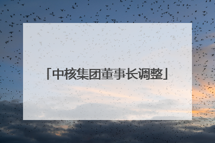 中核集团董事长调整