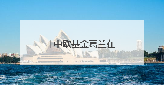 中欧基金葛兰在管规模最大产品增配基金经理，年初至今涨超11%
