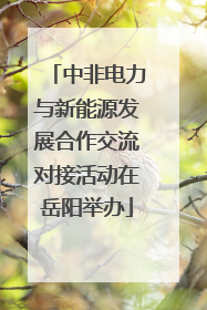 中非电力与新能源发展合作交流对接活动在岳阳举办