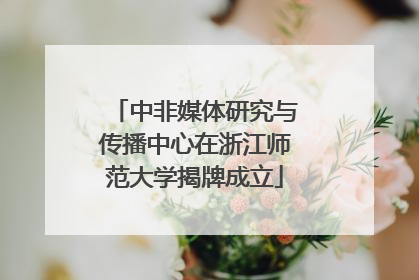 中非媒体研究与传播中心在浙江师范大学揭牌成立