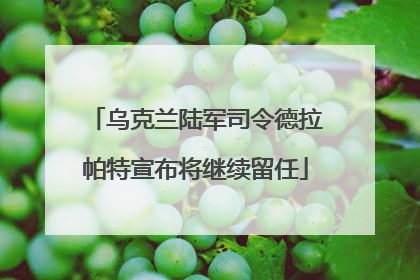 乌克兰陆军司令德拉帕特宣布将继续留任