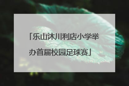乐山沐川利店小学举办首届校园足球赛