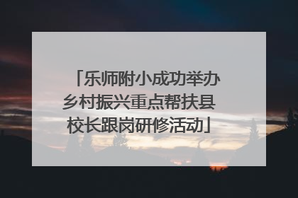 乐师附小成功举办乡村振兴重点帮扶县校长跟岗研修活动