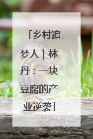 乡村追梦人｜林丹：一块豆腐的产业逆袭
