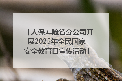 人保寿险省分公司开展2025年全民国家安全教育日宣传活动
