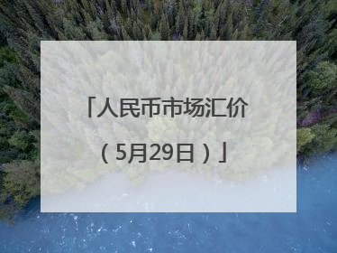 人民币市场汇价（5月29日）