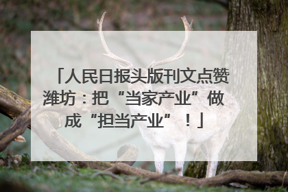 人民日报头版刊文点赞潍坊：把“当家产业”做成“担当产业”！