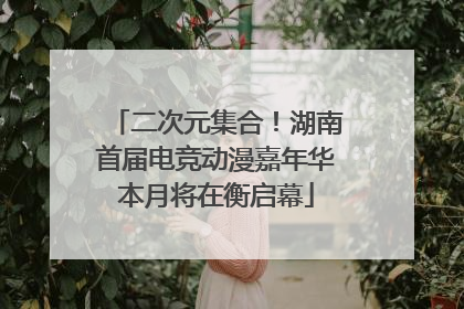 二次元集合！湖南首届电竞动漫嘉年华本月将在衡启幕