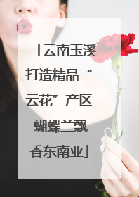 云南玉溪打造精品“云花”产区 蝴蝶兰飘香东南亚