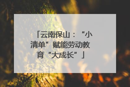 云南保山：“小清单”赋能劳动教育“大成长”