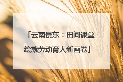 云南景东：田间课堂绘就劳动育人新画卷