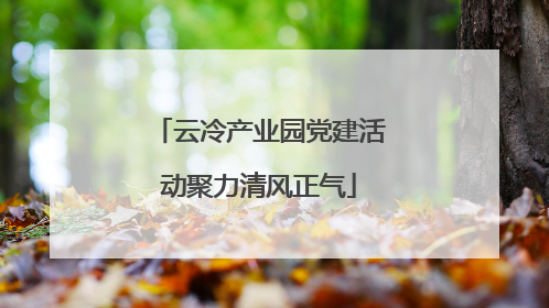 云冷产业园党建活动聚力清风正气