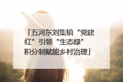 五河东刘集镇“党建红”引领“生态绿” 积分制赋能乡村治理