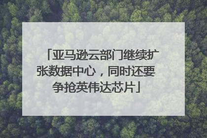 亚马逊云部门继续扩张数据中心，同时还要争抢英伟达芯片