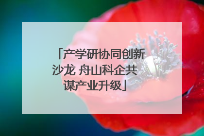 产学研协同创新沙龙 舟山科企共谋产业升级