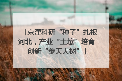 京津科研“种子”扎根河北，产业“土壤”培育创新“参天大树”