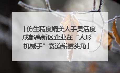 仿生精度媲美人手灵活度 成都高新区企业在“人形机械手”赛道崭露头角
