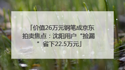 价值26万元钢笔成京东拍卖焦点：沈阳用户“捡漏”省下22.5万元